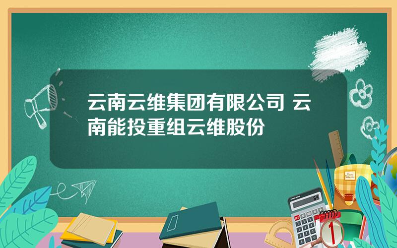 云南云维集团有限公司 云南能投重组云维股份